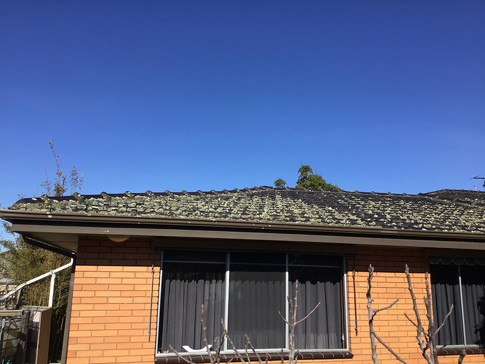 bloom-inspections-sagging-roof-line-28